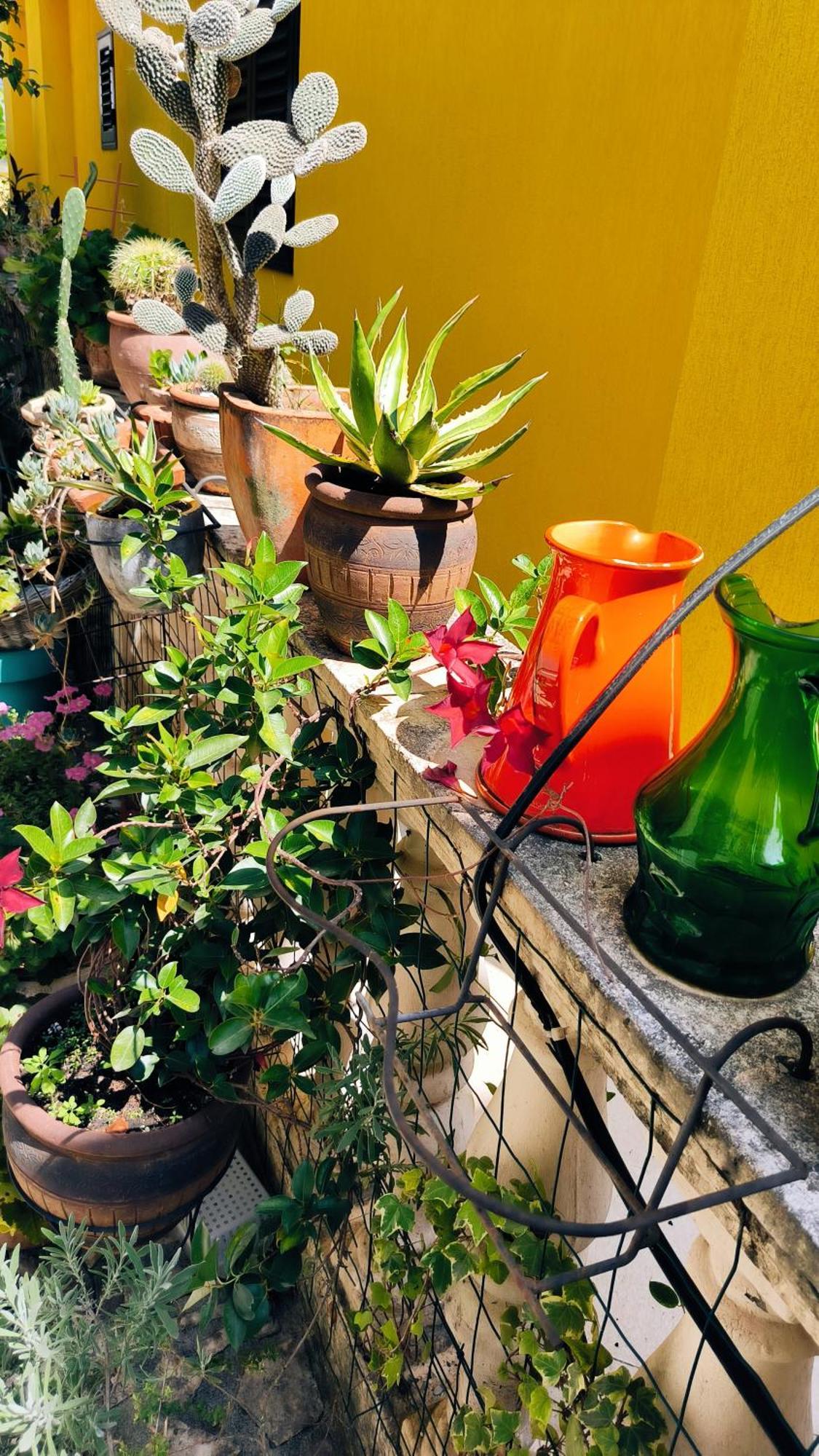 Apartament - Lisa Budva Bagian luar foto