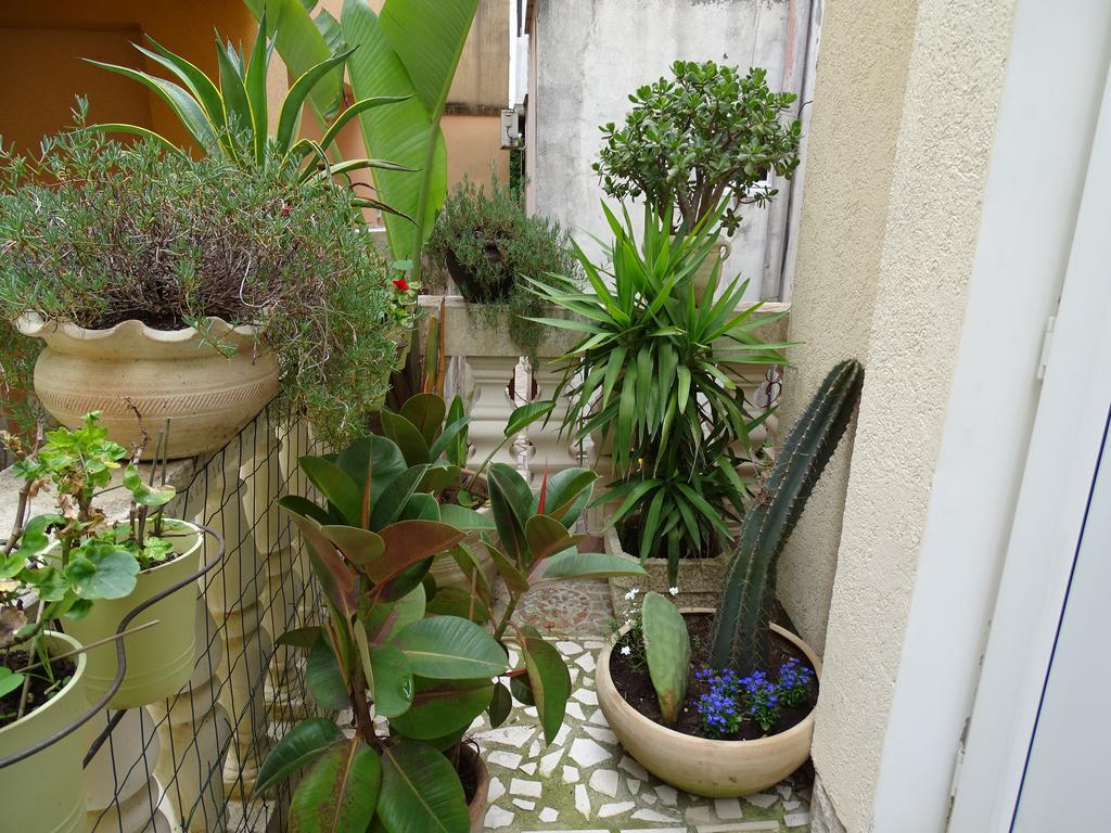 Apartament - Lisa Budva Bagian luar foto