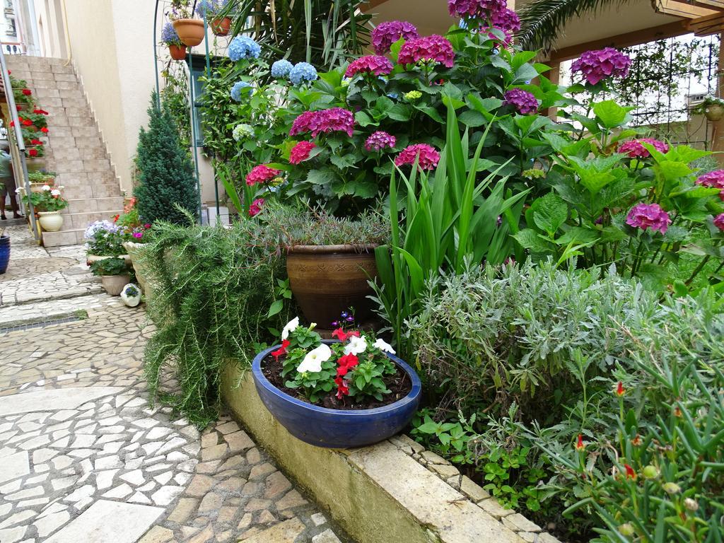 Apartament - Lisa Budva Bagian luar foto